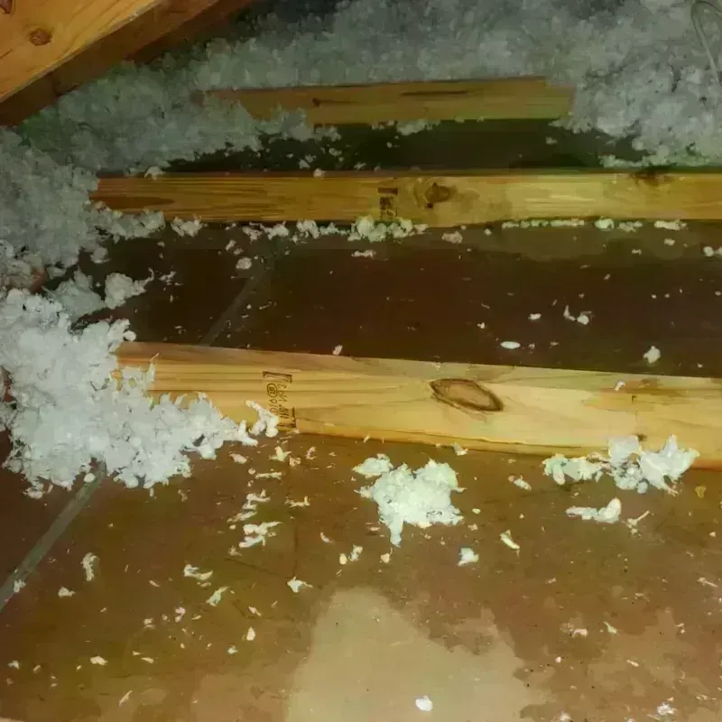 Attic Water Damage in Exeter, NH